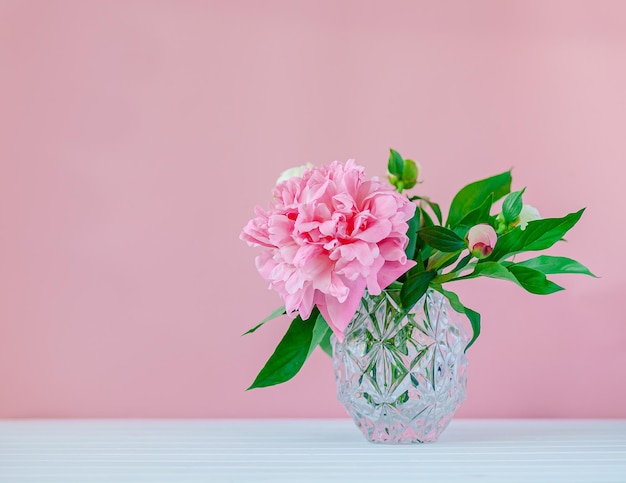 Good morning. Pink peonies in a crystal vase on a pink wood background, copy space, close up.