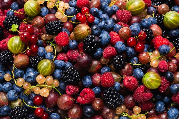 Gooseberries, blueberries, mulberry, raspberries, white and red currants.