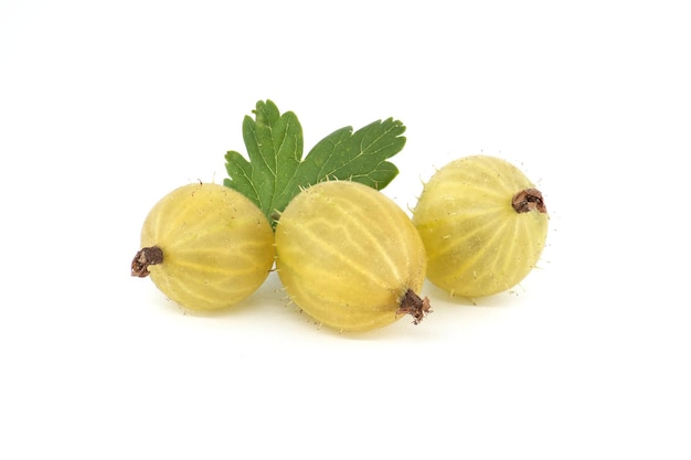 Gooseberry isolated on white background Heap of fresh ripe gooseberries