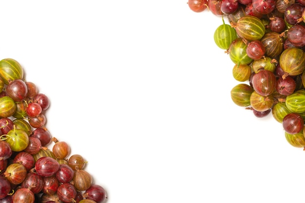 Gooseberry isolated on white background