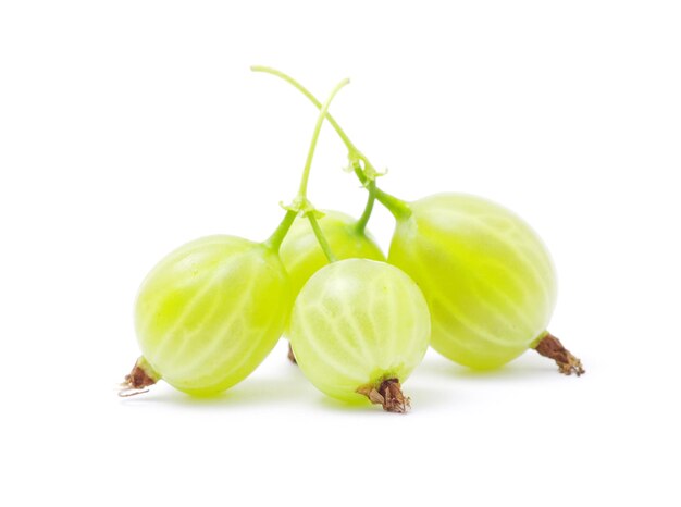 Gooseberry