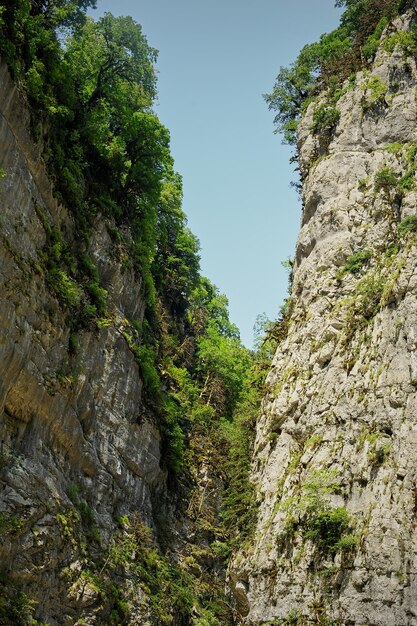 Gorge of mountains with trees growing on them The mountains of Abkhazia are the countries of the soul