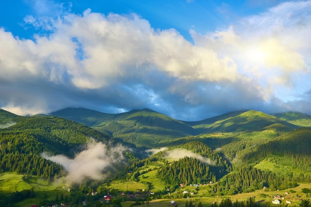 Gorgeous foggy sunrise in Carpathian mountains lovely summer landscape of Volovets district purple flowers on grassy meadows and forested hill in fog