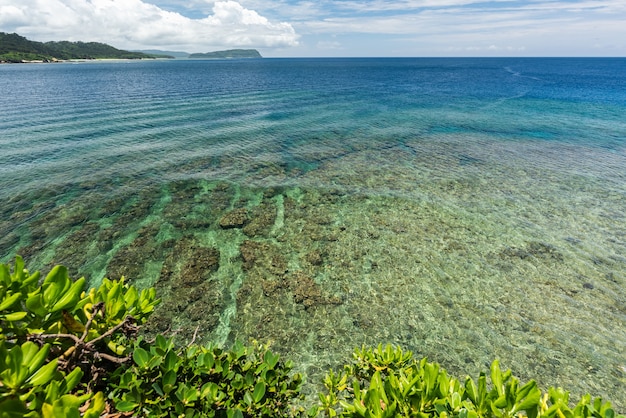 Gorgeous top view of emerald green sea coral reef corridors. Iriomote Island.