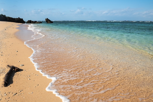 Gorgeous tropical beach with turquoise sea. Gentle waves touching the sand  Trunk on foreground. Iriomote Island.