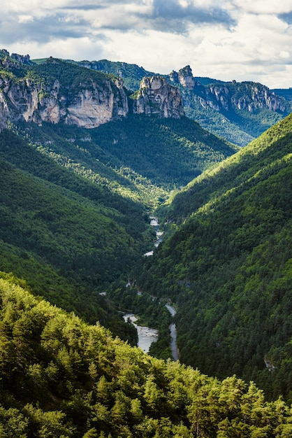 The gorges of the river Tarn Elevated view of a pure natural landscape in the south of France