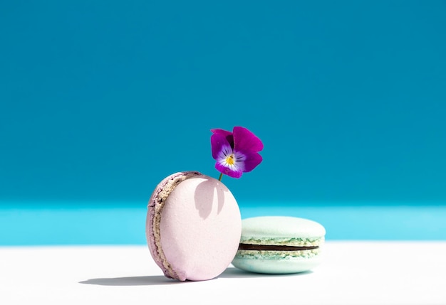 Gourmet french macaron dessert different pastel colors