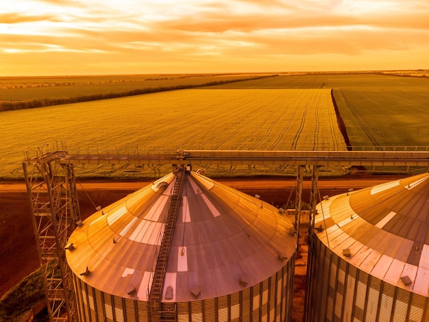 Grain elevator metal grain elevator in agricultural zone agriculture storage for harvest grain silos