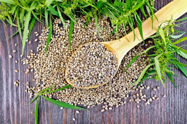 Grain hemp in spoon with cannabis leaves on the background of dark wooden boards from above