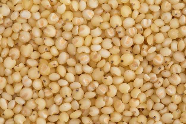 Grain sorghum rice closeup