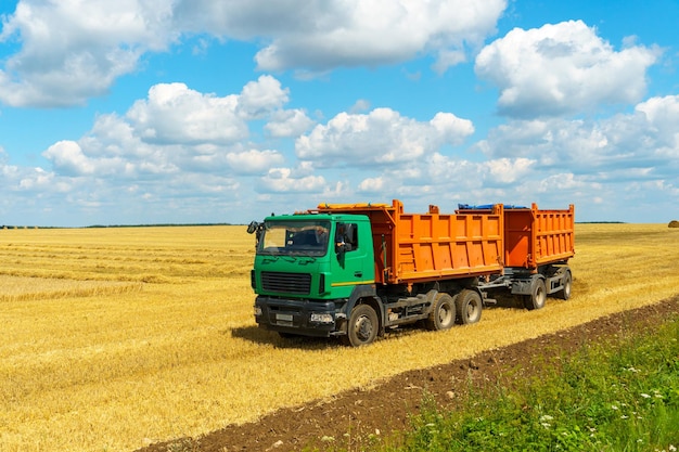 A grain truck is driving through the field for unloading The truck body is filled with wheat grain Harvesting harvesting storage drying of grain Flour production A grain deal on the Black Sea