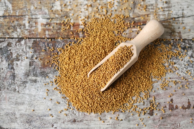 Grains of mustard in a wooden spatula.