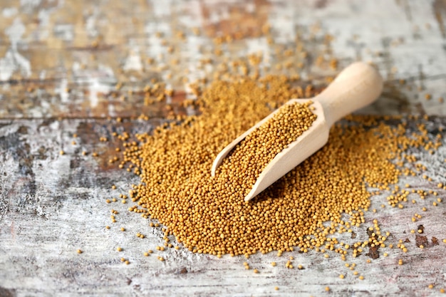 Grains of mustard in a wooden spatula.