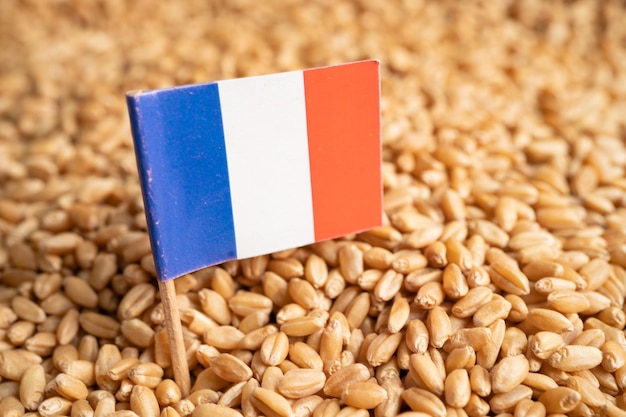 Grains wheat with France flag trade export and economy concept