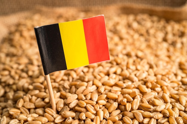 Grains wheat with Germany flag trade export and economy concept