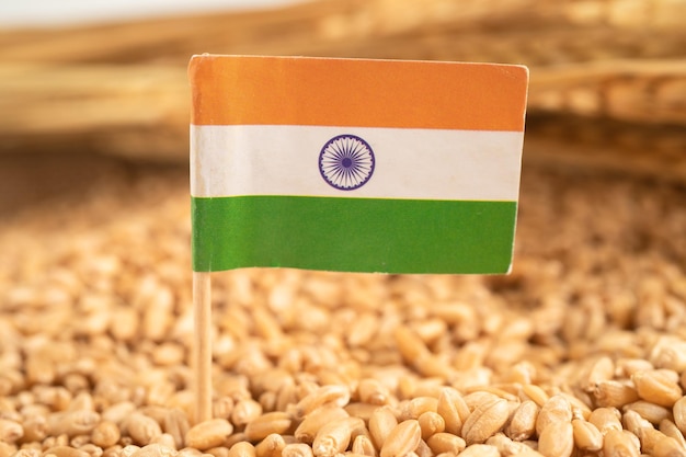 Grains wheat with India flag trade export and economy concept