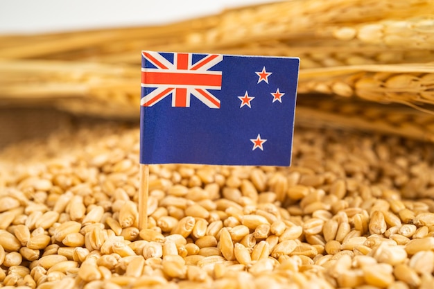 Grains wheat with New Zealand flag trade export and economy concept