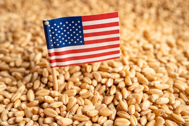 Grains wheat with USA America flag trade export and economy concept