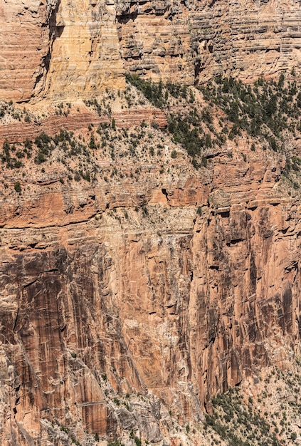 Grand Canyon Sout Rim Arizona USA