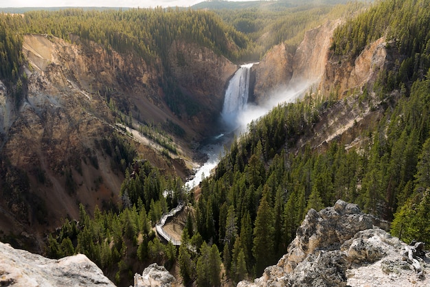 Grand Canyon of Yellowstone National Park