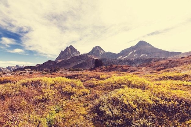 Grand Teton