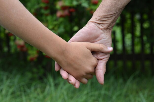 Granddaughter and grandmother holding hands outdoors