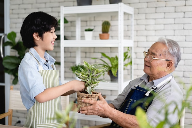 Grandfather gardening and teaching grandson take care  plant indoors