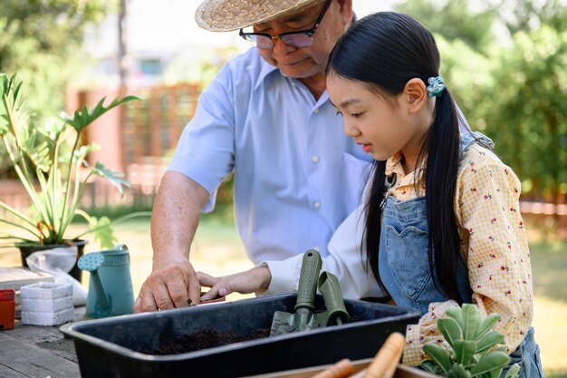 Grandfather and granddaughter planting tree in garden at home. Retirement age lifestyle with family on summer holiday.