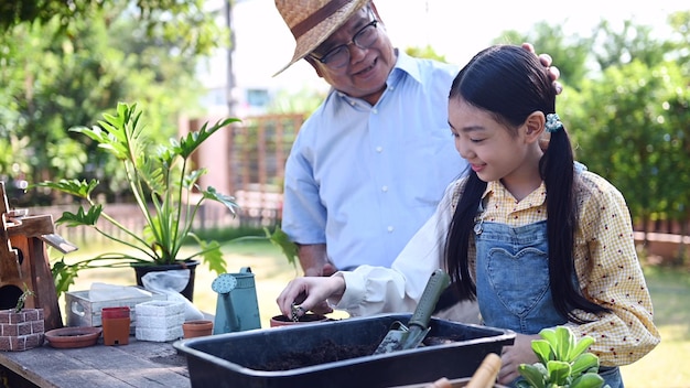 Grandfather and granddaughter planting tree in garden at home. Retirement age lifestyle with family on summer holiday.