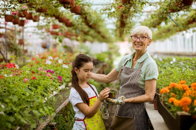 Grandmother and her grandchild enjoying in the garden with flowers