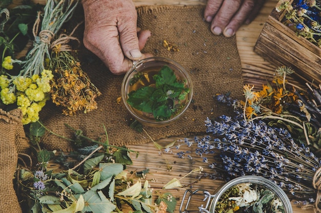 Grandmother makes tea with medicinal herbs Selective focus