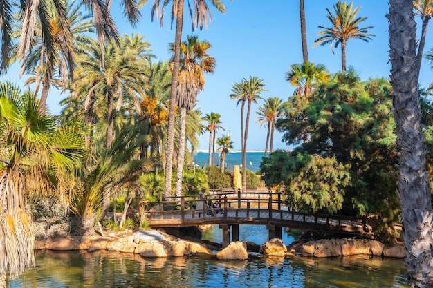 A grandmother walking with her grandson on a bridge in El Palmeral park in the city of Alicante