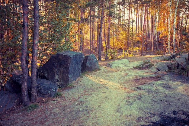 Granite boulders in the autumn forest in the early morning