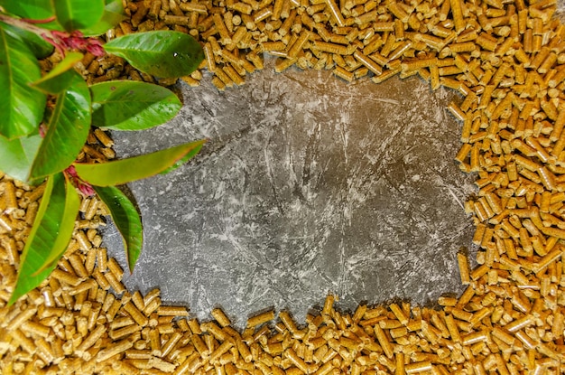 Granite or slate copy space surrounded by pellets with a green branch in one corner