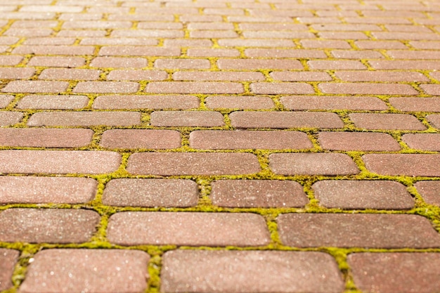 Granite stone block paving with moss closeup