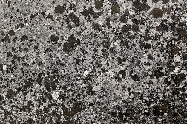 Photo granite stone texture closeup