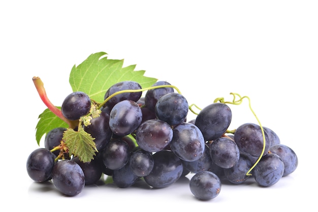 Grape fruit