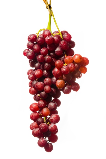 grape on white background