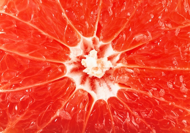 Grapefruit slices background for you design