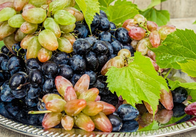 Grapes. Food. Selective focus. bio nature organic.