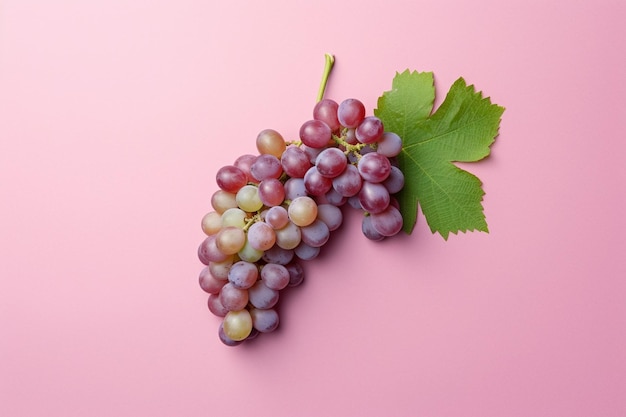 Grapes Fruit