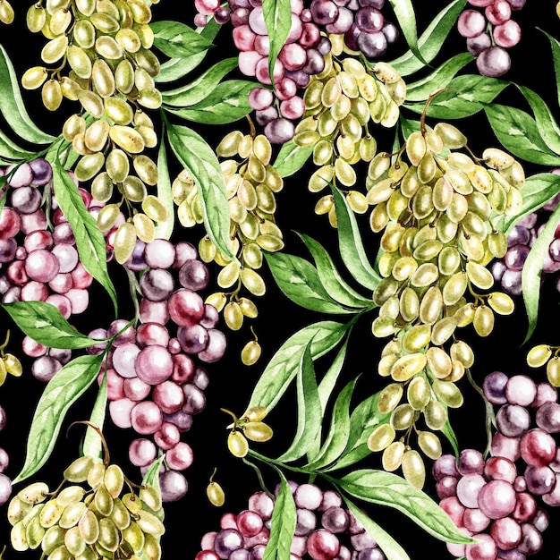 Grapes seamless patterns on black background watercolor illustration