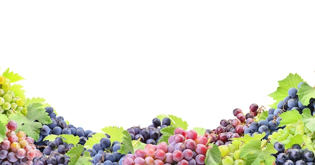 Grapes on a white space