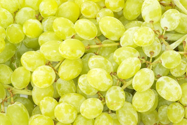 Grapes