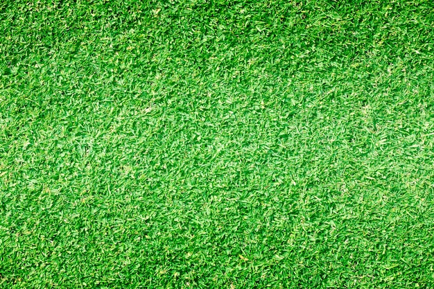 Grass background Golf Courses green lawn