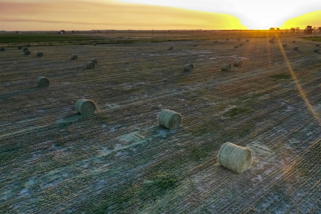 Photo grass bale in the pampas countryside buenos aires province argentina