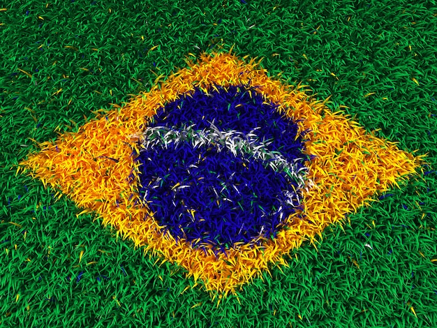 Grass brazil flag