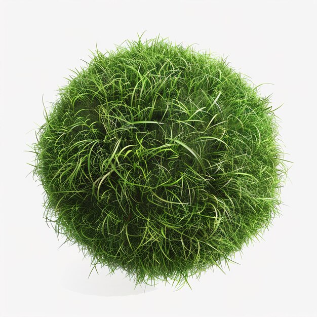 Photo grass globe