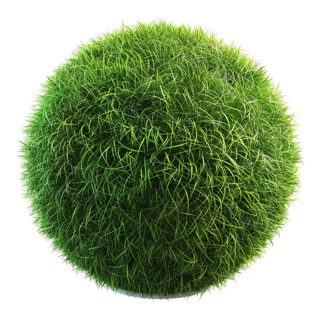 Photo grass globe