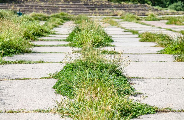 Grass grows through concrete tiles